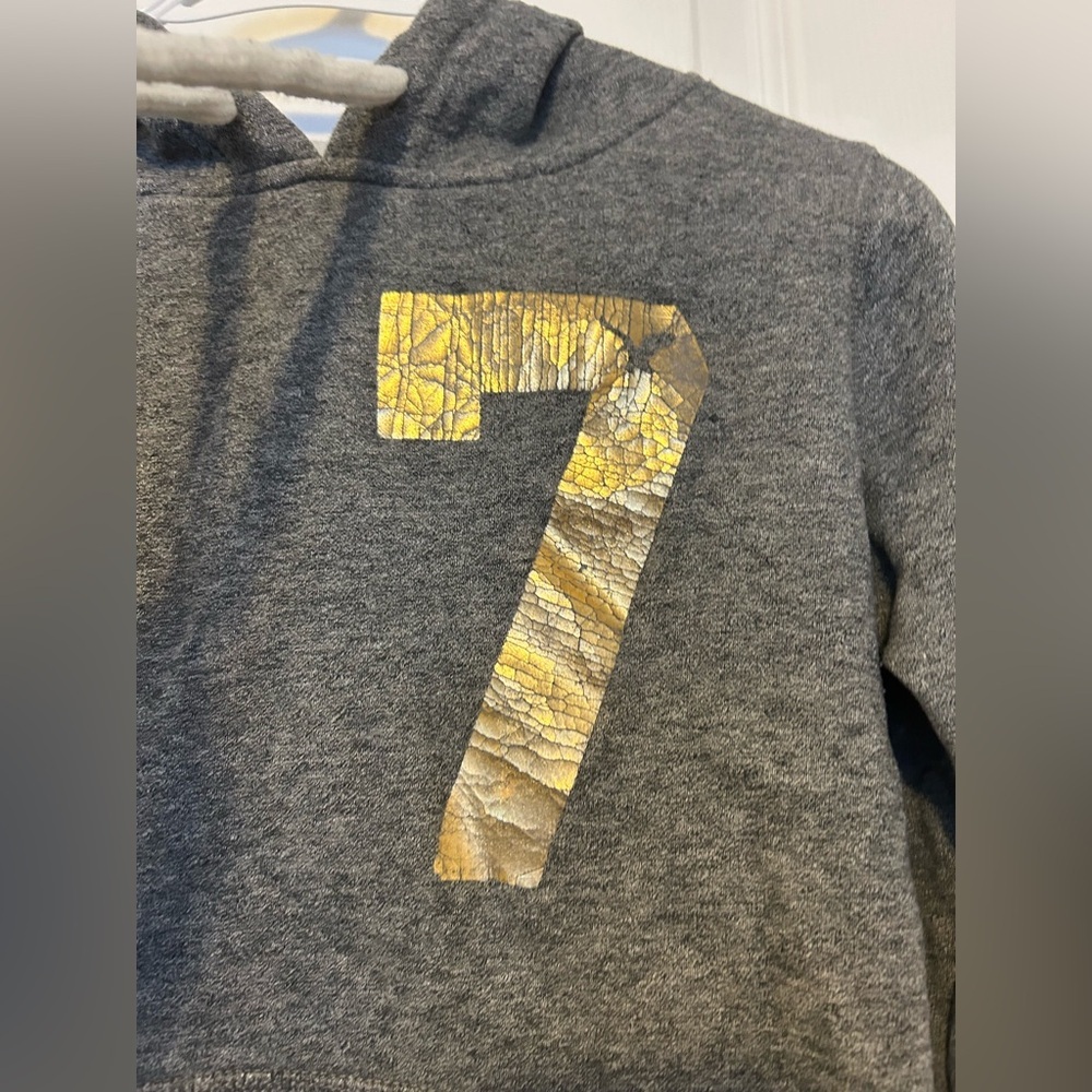 ✨ American Eagle Gray Hoodie w/ Gold “7” Graphic - Picture 2 of 4